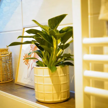 Homestay Zentrale, Gemuetliche Dachgeschoss-etage - 52qm - Altes Haus Auf 2,5 Etagen Exklusiv Fuer Dich - Mit 1 Schlafzimmer, Wohnzimmer Und Rueckzugsraum Zum Verweilen - Kueche, Grosses Bad, Netflix