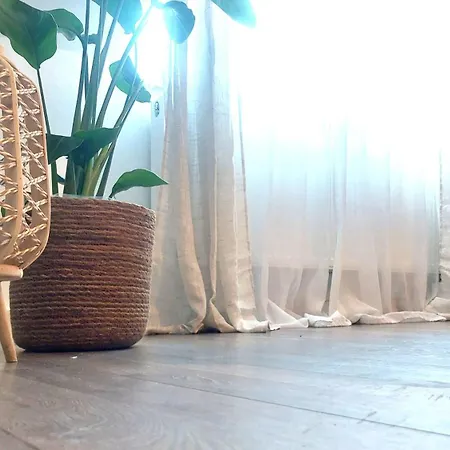 Zentrale, Gemuetliche Dachgeschoss-etage - 52qm - Altes Haus Auf 2,5 Etagen Exklusiv Fuer Dich - Mit 1 Schlafzimmer, Wohnzimmer Und Rueckzugsraum Zum Verweilen - Kueche, Grosses Bad, Netflix Homestay Halle (Saale)