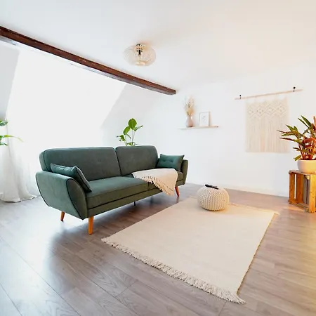 Zentrale, Gemuetliche Dachgeschoss-etage - 52qm - Altes Haus Auf 2,5 Etagen Exklusiv Fuer Dich - Mit 1 Schlafzimmer, Wohnzimmer Und Rueckzugsraum Zum Verweilen - Kueche, Grosses Bad, Netflix Homestay *