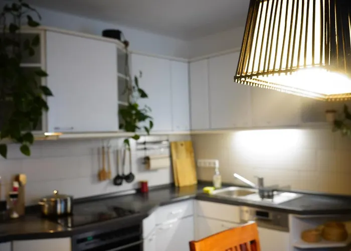 Zentrale, Gemuetliche Dachgeschoss-etage - 52qm - Altes Haus Auf 2,5 Etagen Exklusiv Fuer Dich - Mit 1 Schlafzimmer, Wohnzimmer Und Rueckzugsraum Zum Verweilen - Kueche, Grosses Bad, Netflix Alloggio in famiglia Halle (Saale)