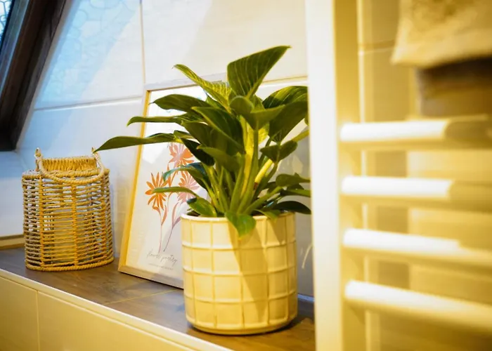 Pansiyon Zentrale, Gemuetliche Dachgeschoss-etage - 52qm - Altes Haus Auf 2,5 Etagen Exklusiv Fuer Dich - Mit 1 Schlafzimmer, Wohnzimmer Und Rueckzugsraum Zum Verweilen - Kueche, Grosses Bad, Netflix