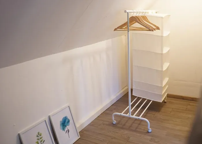 Zentrale, Gemuetliche Dachgeschoss-etage - 52qm - Altes Haus Auf 2,5 Etagen Exklusiv Fuer Dich - Mit 1 Schlafzimmer, Wohnzimmer Und Rueckzugsraum Zum Verweilen - Kueche, Grosses Bad, Netflix Alloggio in famiglia Halle (Saale)